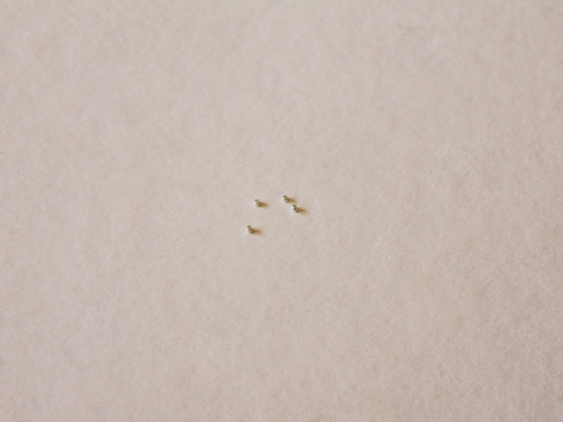 Four silver colored crimp beads